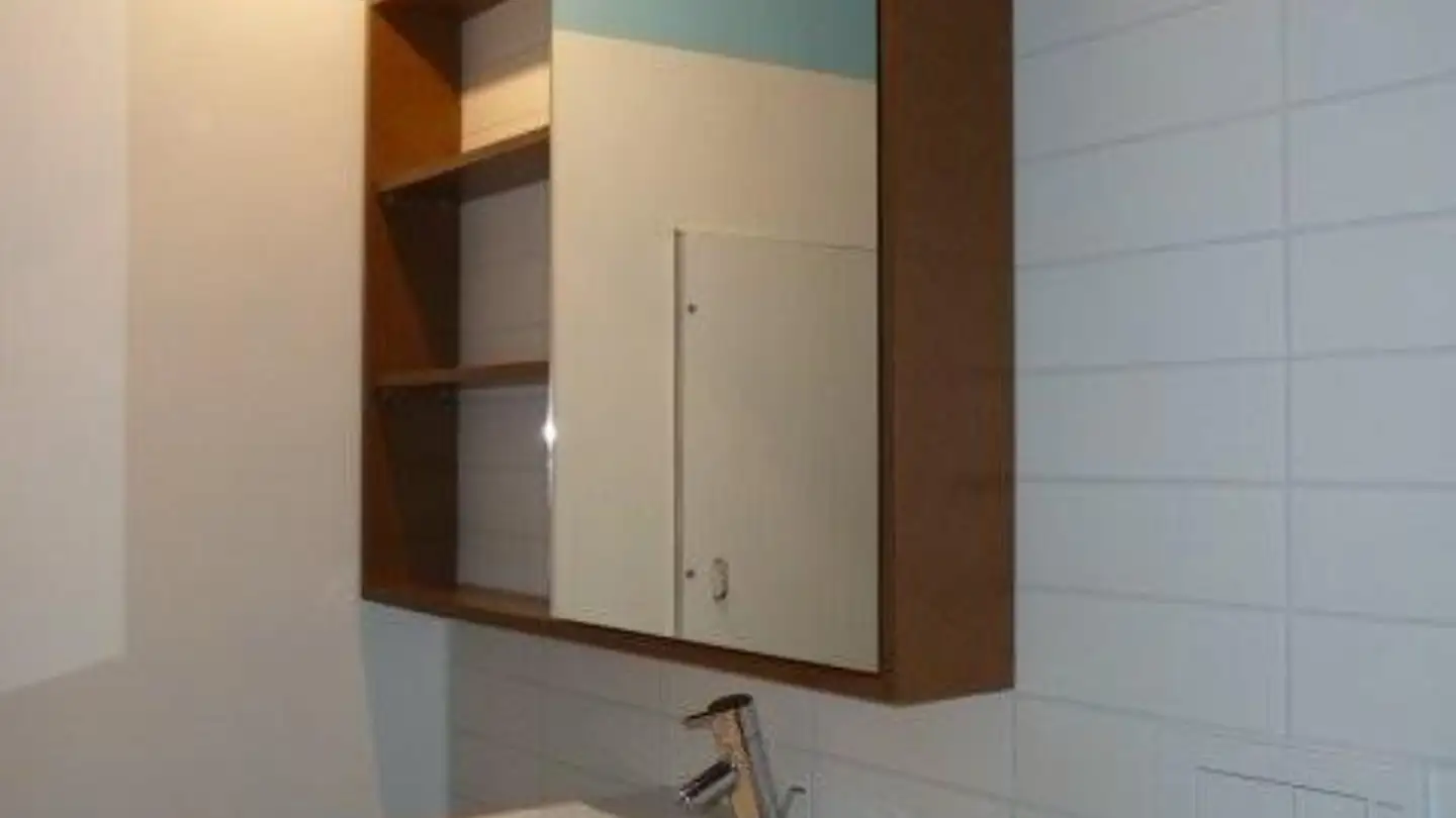 Appartamento in affitto - Else-Züblin-Strasse 92, 8404 Winterthur - Foto 4