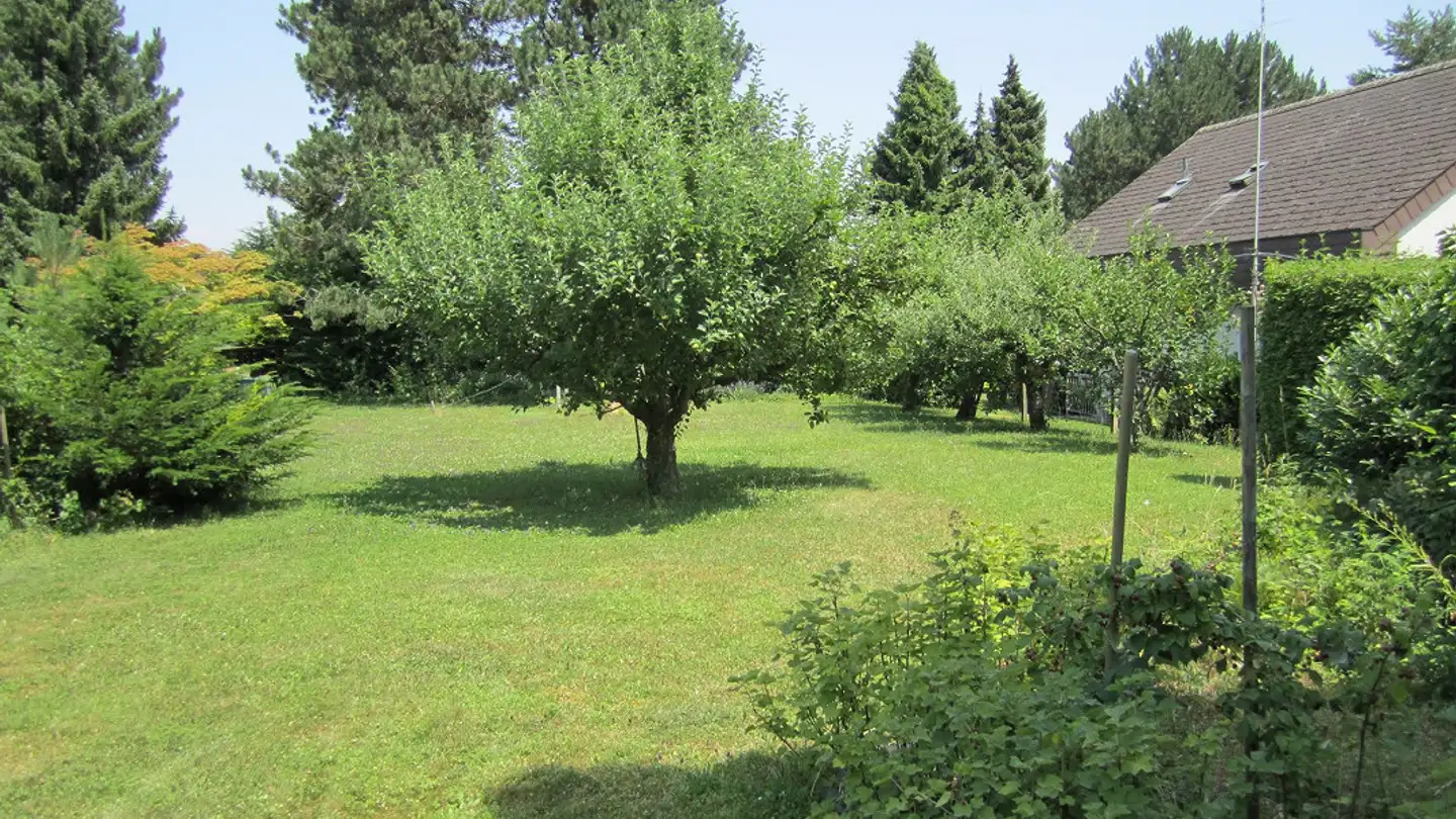 Constructible plot for sale - 4123 Allschwil - Photo 3