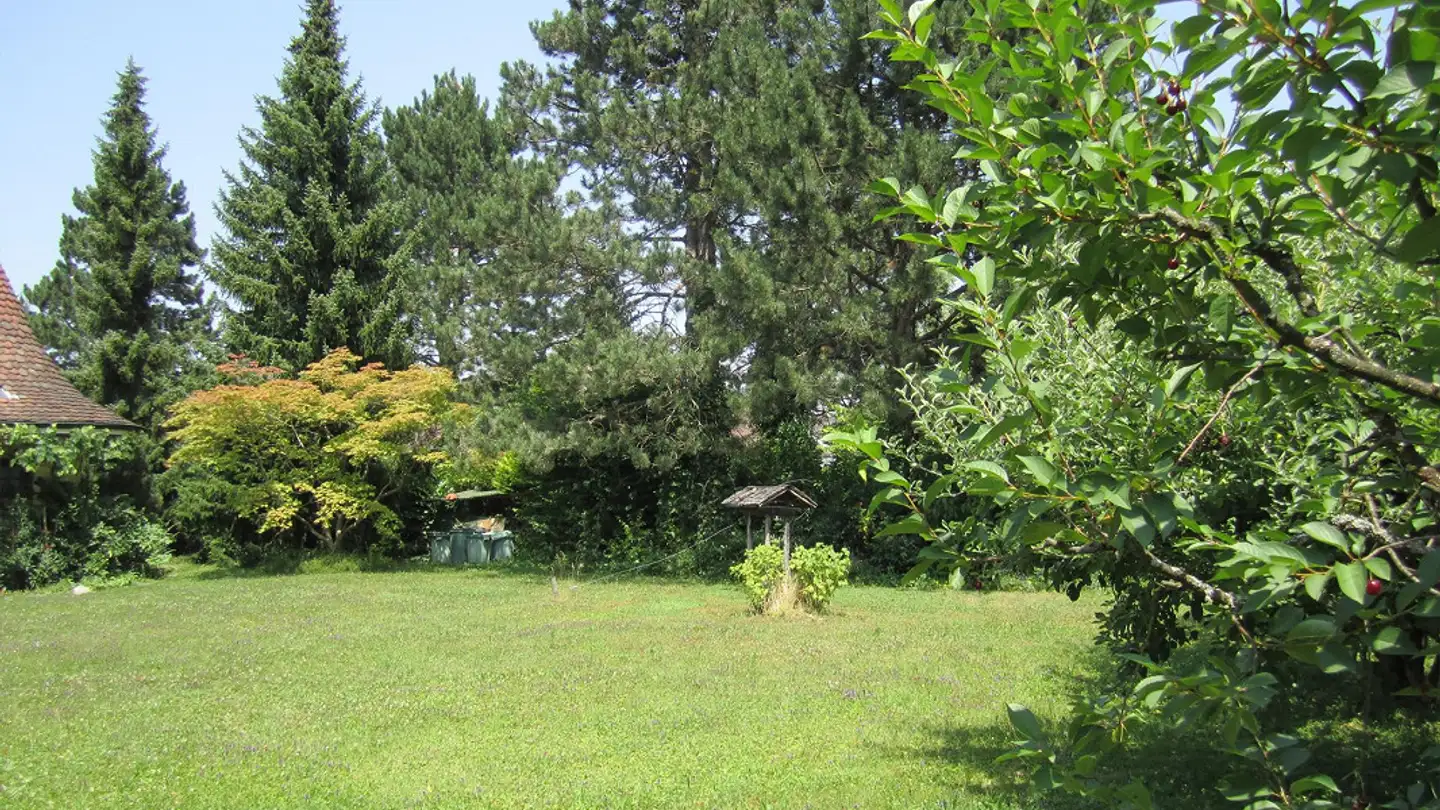 Constructible plot for sale - 4123 Allschwil - Photo 4