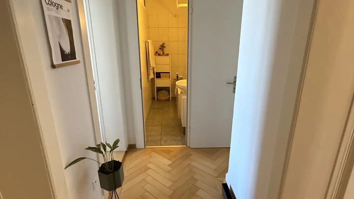 Appartement à louer - 8037 Zürich