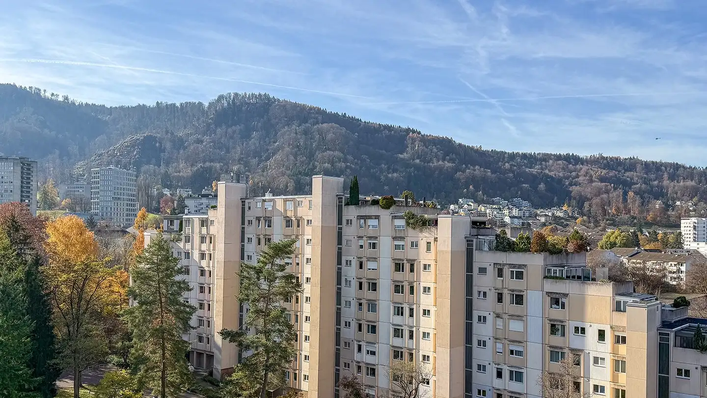 Appartement à vendre - Im Sträler 36, 8047 Zürich