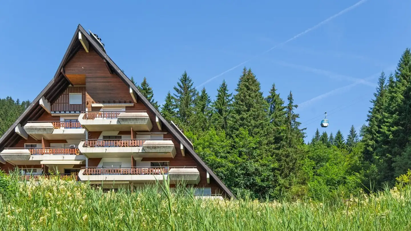 Wohnung kaufen - 1882 Gryon