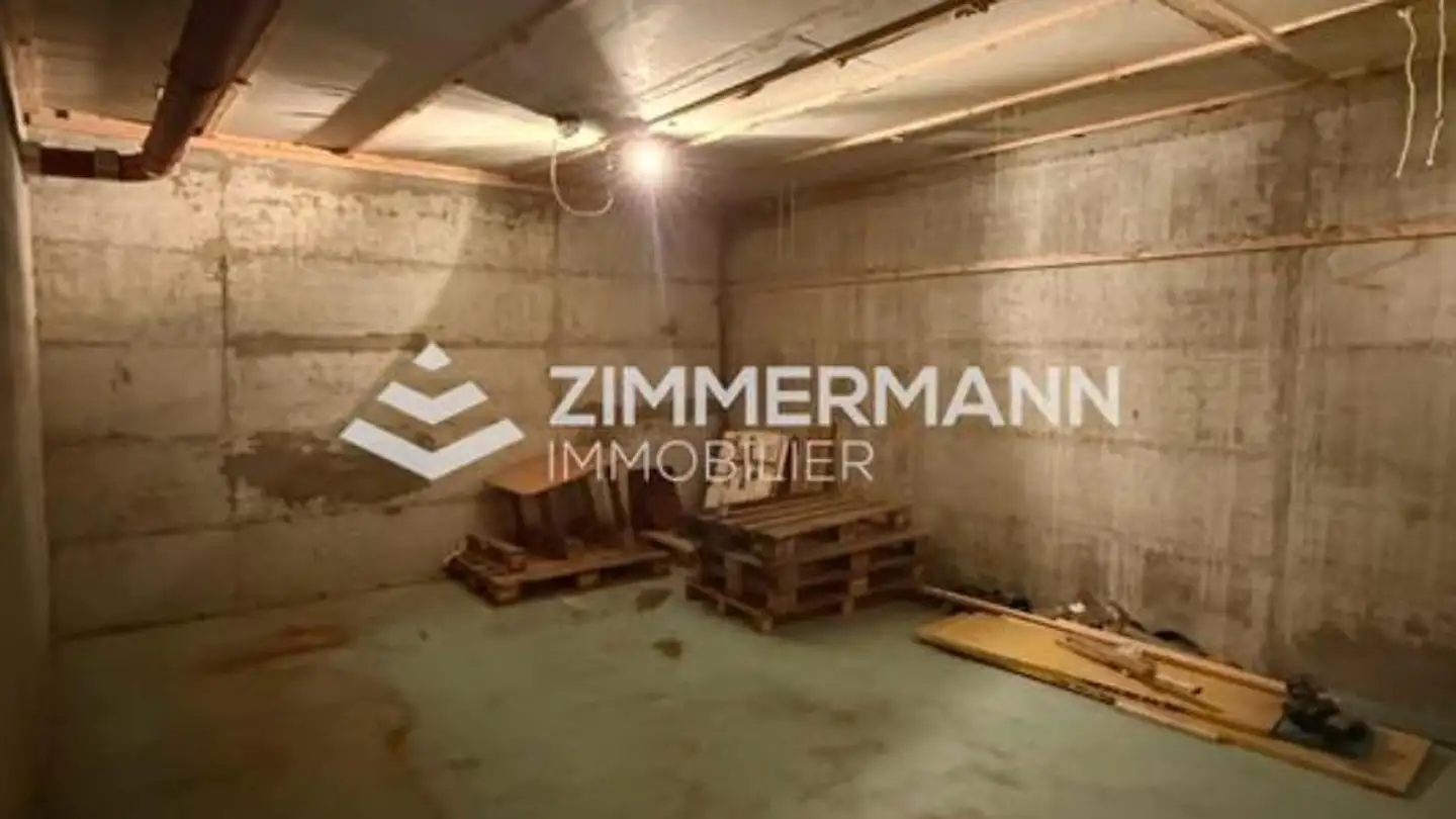 Storage space for rent - Rue Du Bois-Melly, 1205 Genève