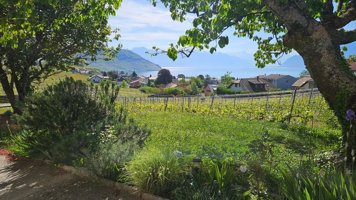 Stepped apartment for rent - Route De Cully 13, 1091 Grandvaux