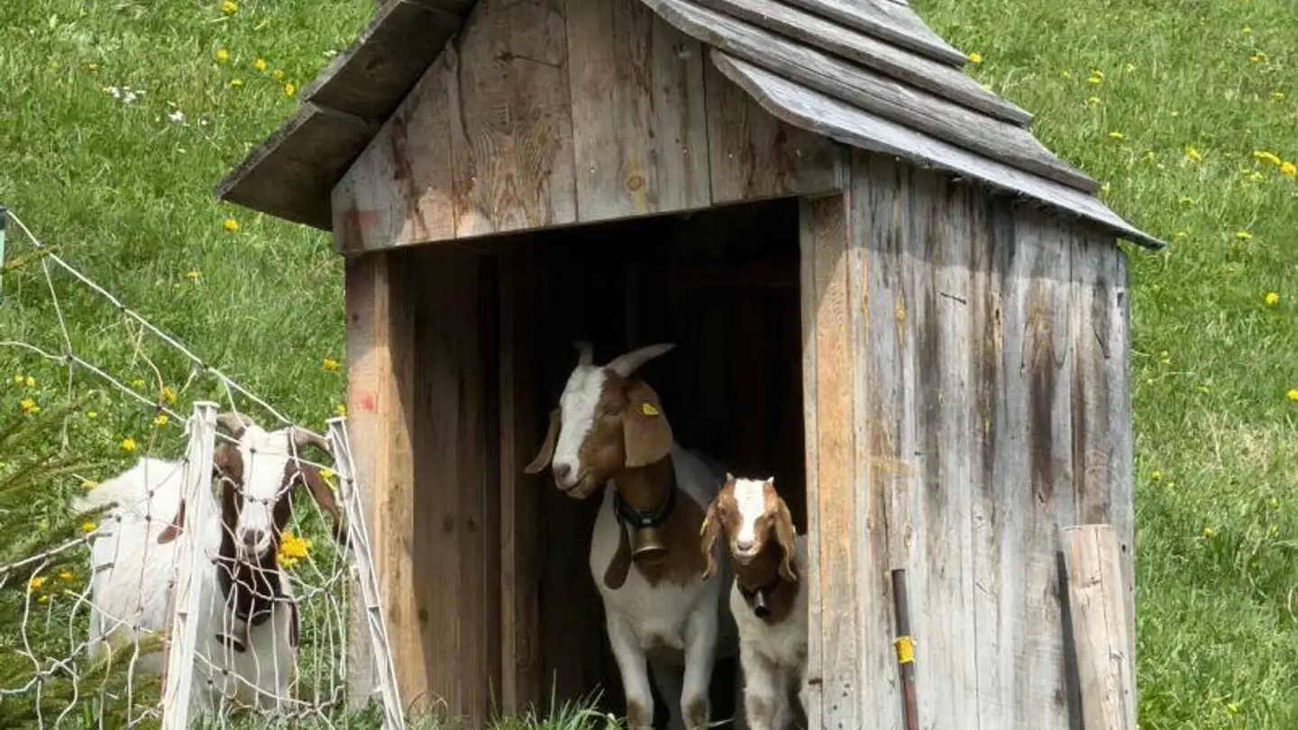 Casa singola in vendita - Via Quadras Su, 7175 Sumvitg - Foto 2