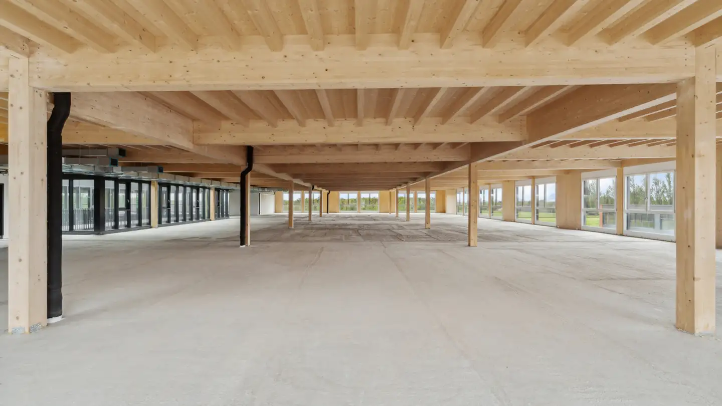 Spazio ufficio in affitto - Route Des Avouillons, 1196 Gland - Foto 3