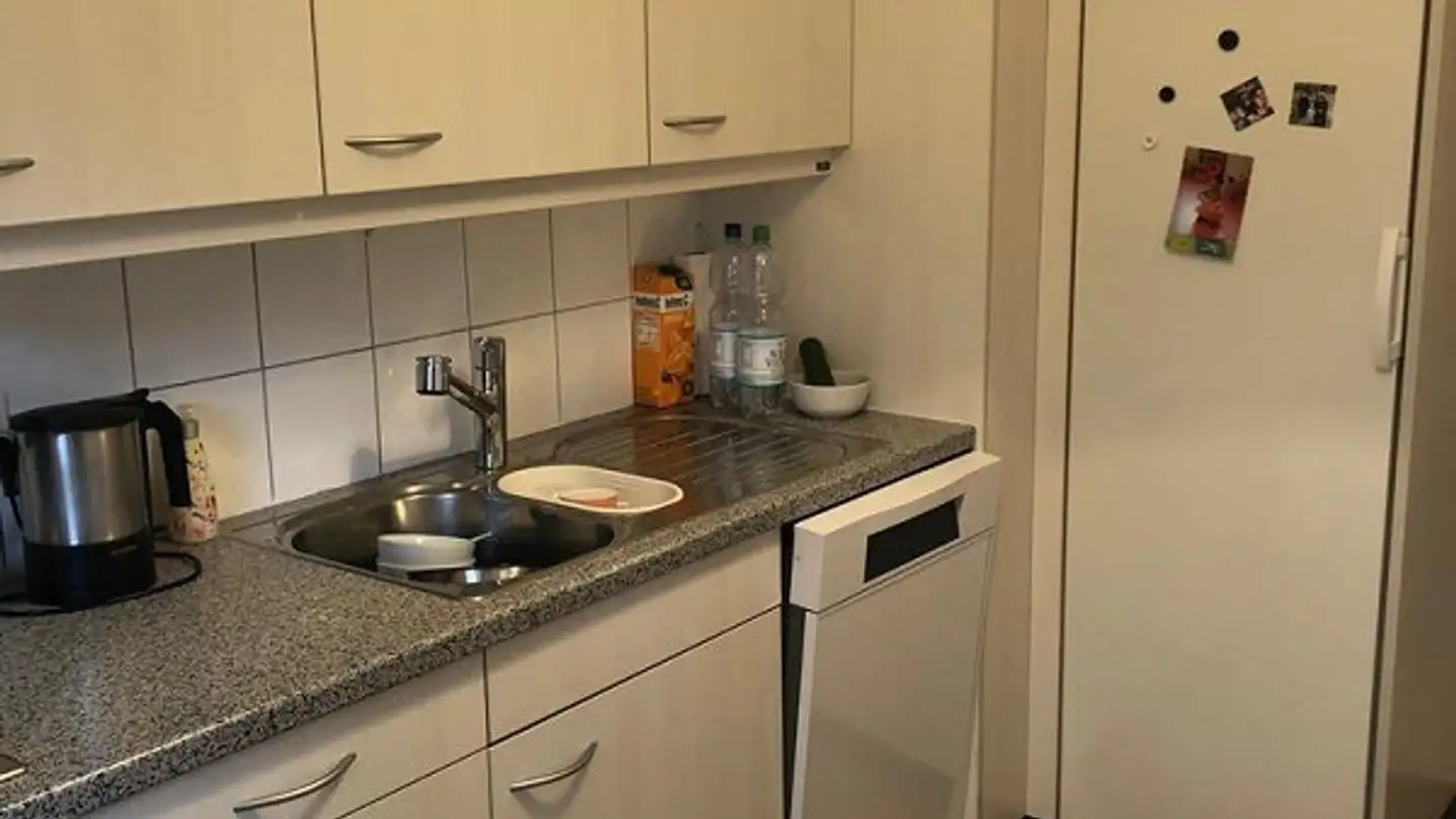 Appartamento in affitto - Welschmattstrasse 47, 4055 Basel - Foto 3
