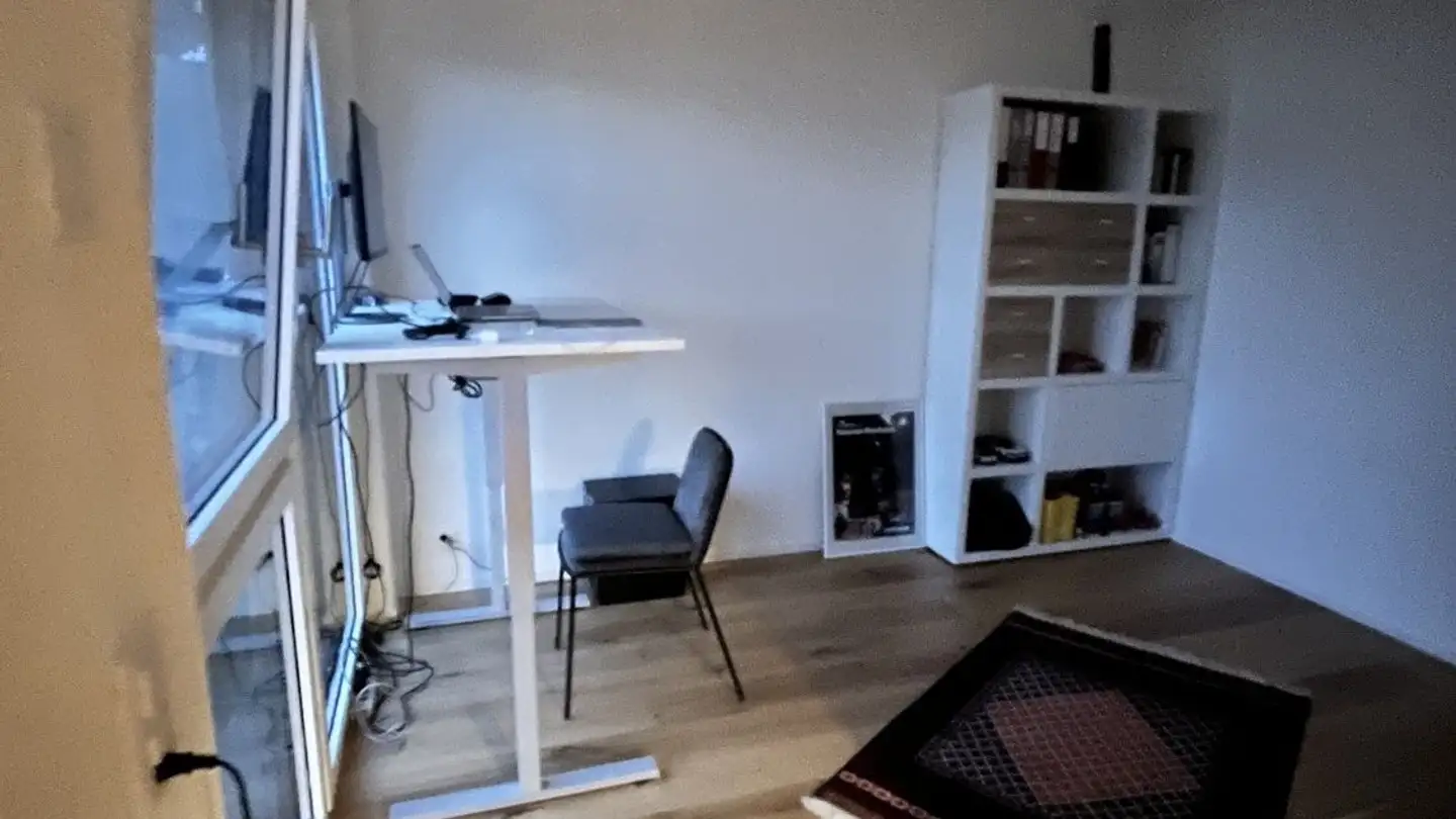 Appartamento in affitto - Seestrasse, 8820 Wädenswil