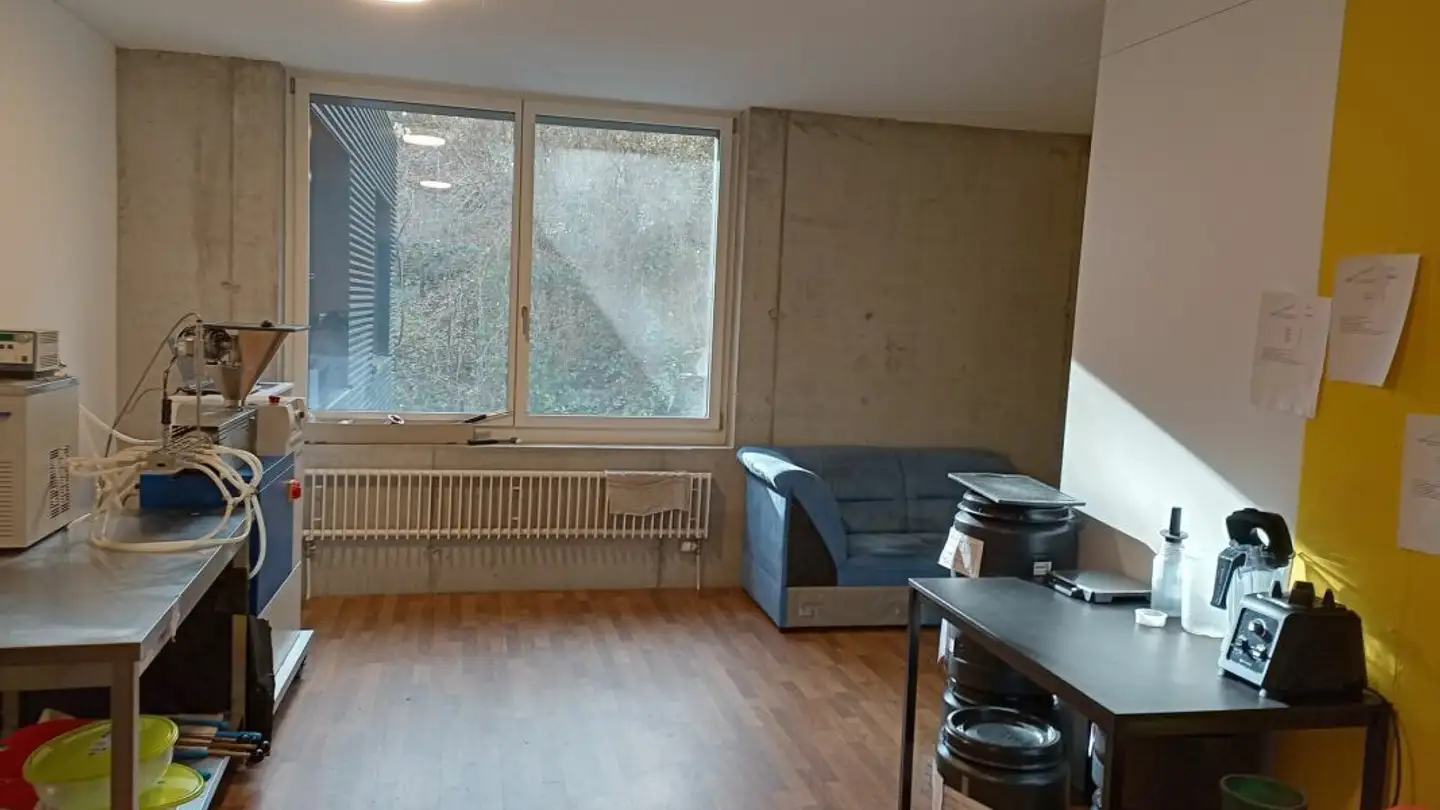 Commerciale in affitto - Bremgartenstrasse 11, 5634 Merenschwand - Photo 2