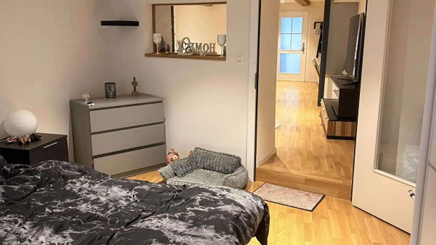 Appartamento in affitto - Stadelgasse 4b, 9220 Bischofszell - Foto 3