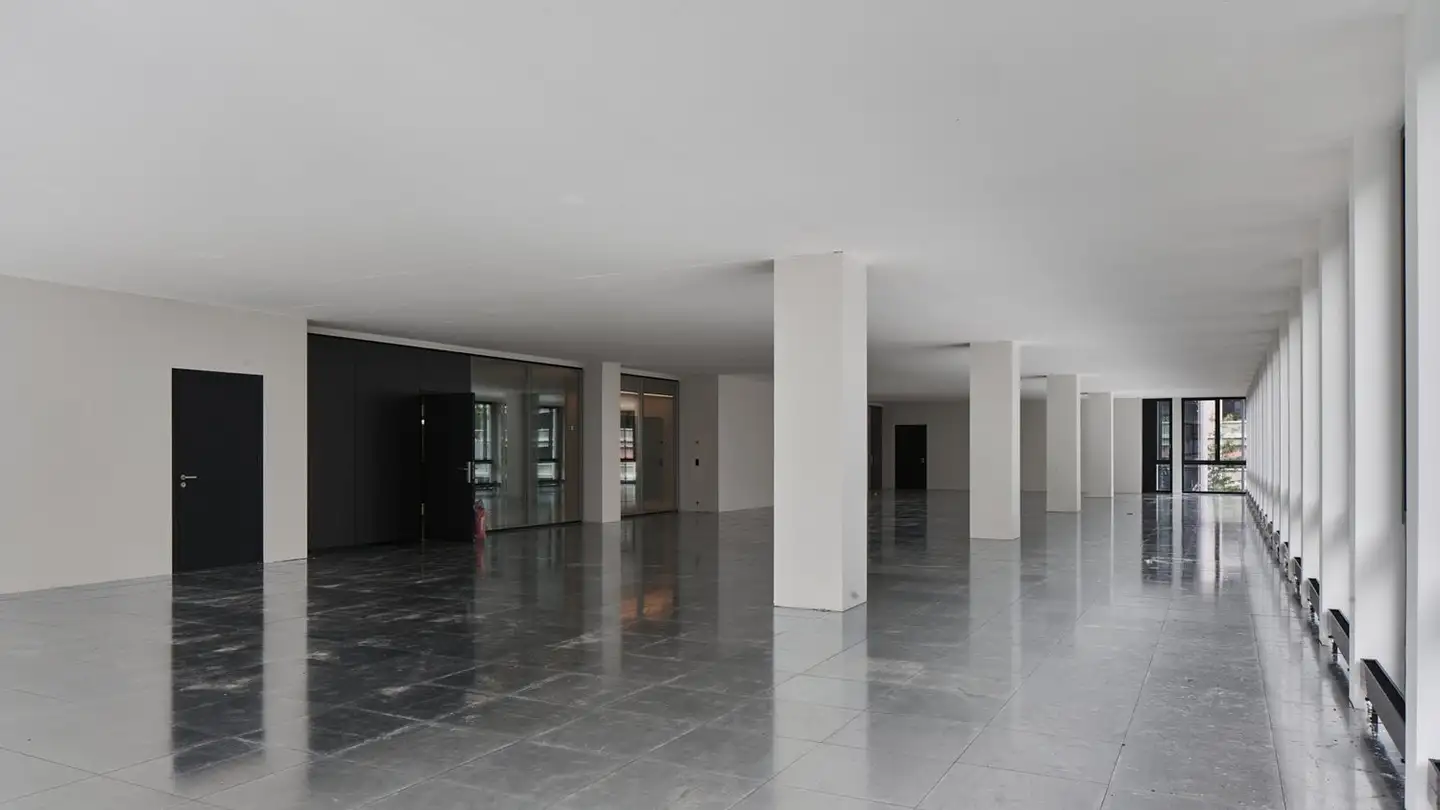 Gewerbe mieten - Buckhauserstrasse 40, 8048 Zürich - Foto 2