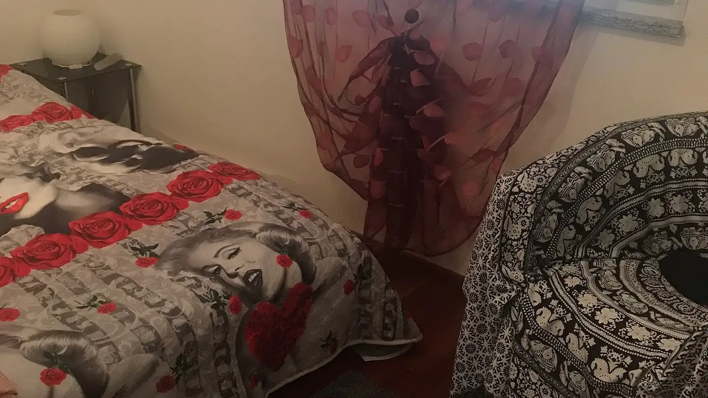 Appartamento in vendita - Via Campagne 14, 6598 Tenero - Photo 3