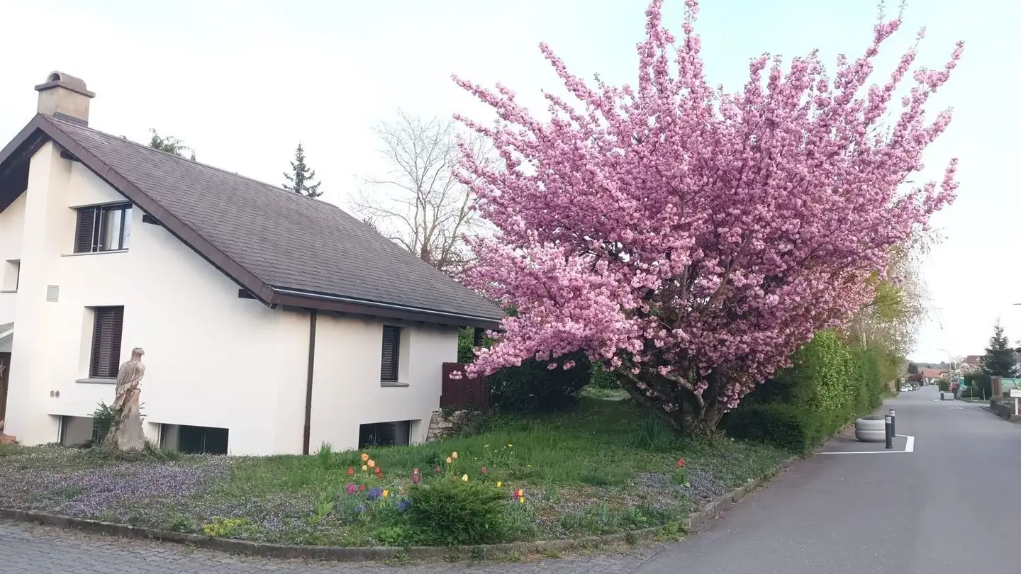 Einfamilienhaus mieten - Standweg, 2556 Schwadernau
