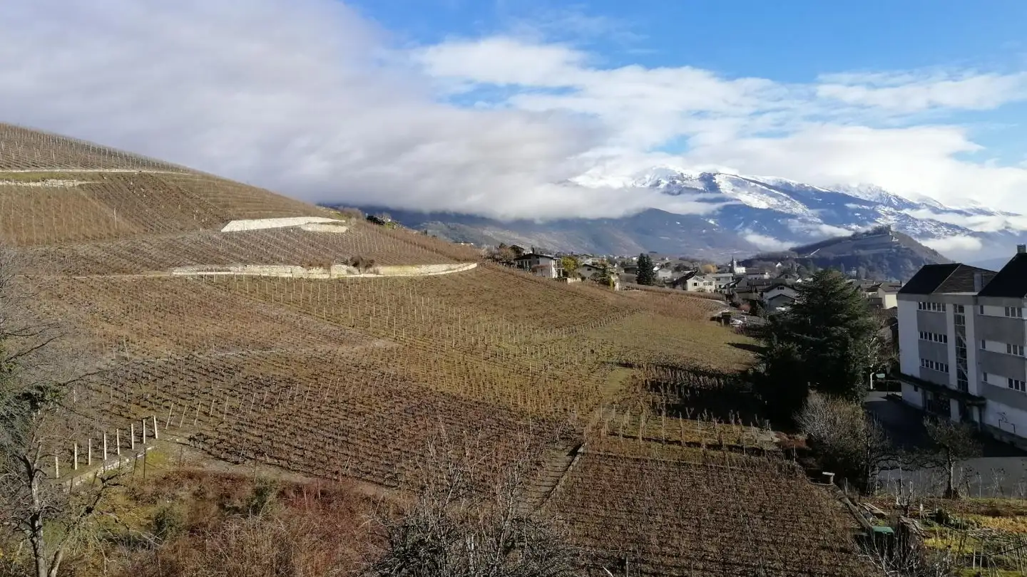 Maisonette mieten - Sierre, 3960 Sierre - Foto 3