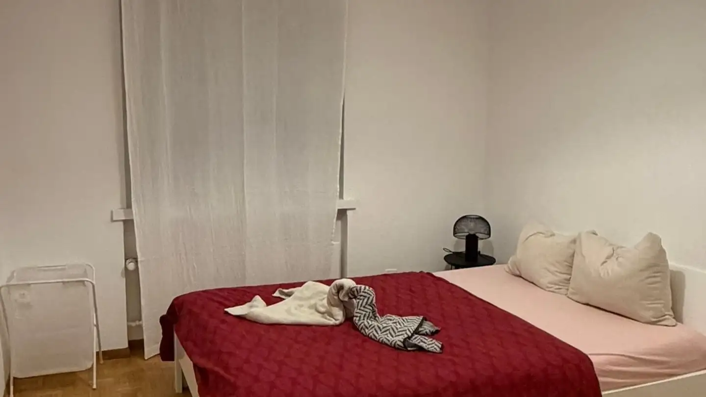 Appartamento in affitto - Hopfenstrasse 15, 8045 Zürich - Foto 2