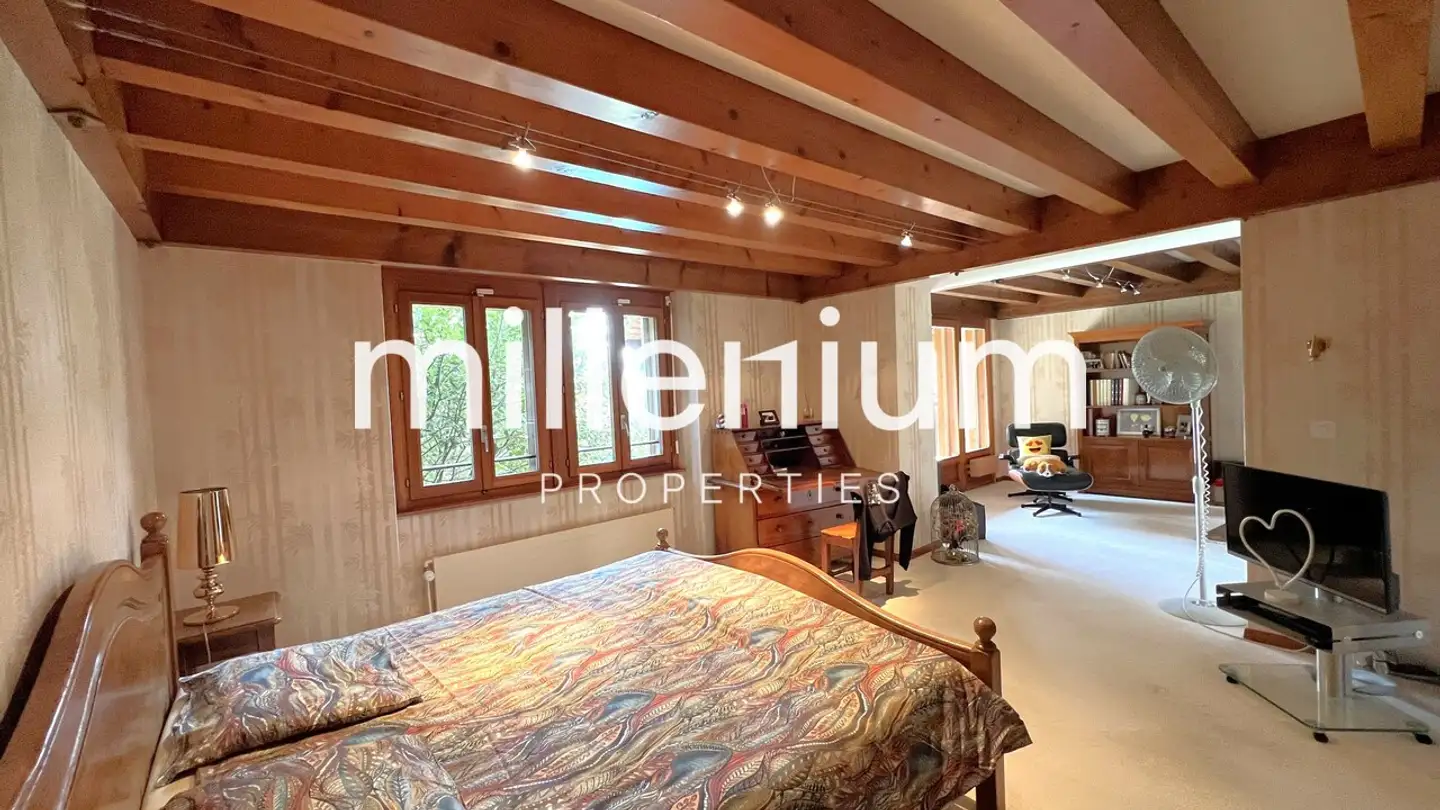 Casa singola in vendita - Route De Meyrin, 1217 Meyrin - Photo 3