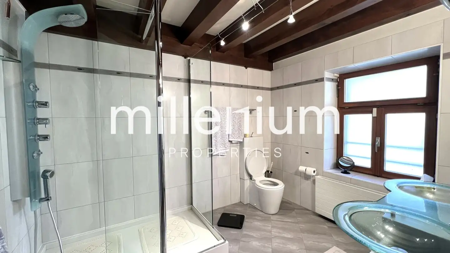 Casa singola in vendita - Route De Meyrin, 1217 Meyrin - Photo 4