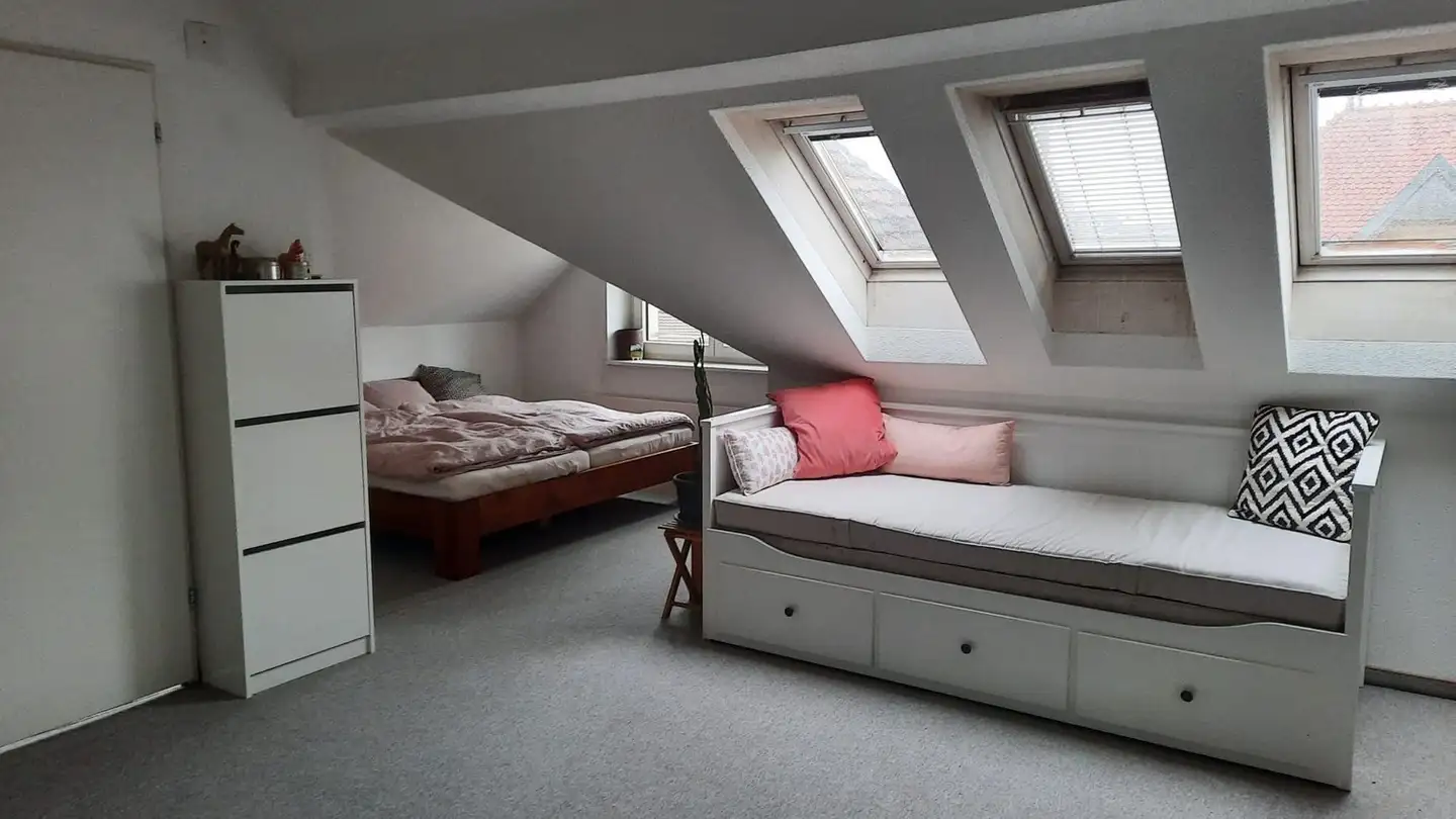 Stanza singola in affitto - 8050 Zürich