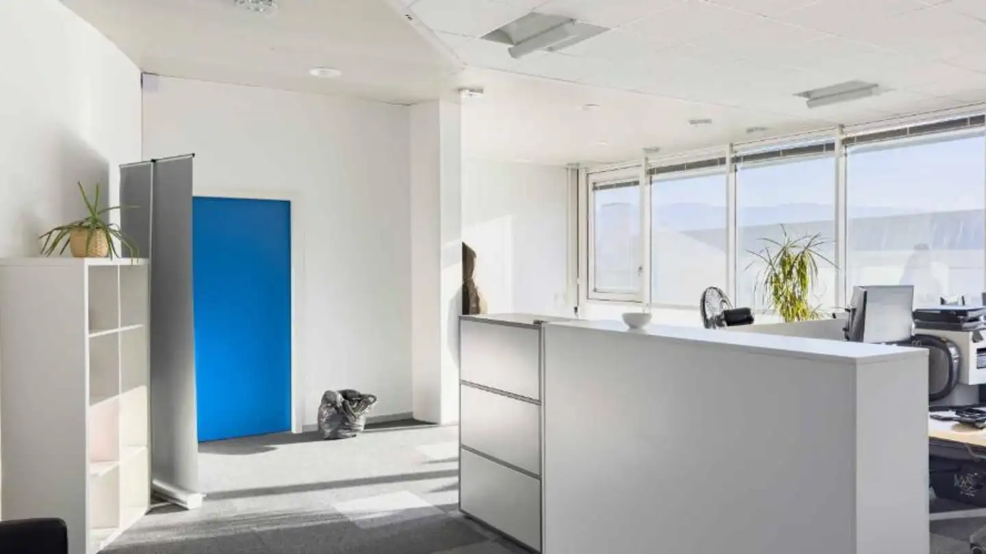 Office space for rent - Chemin Du Château-Bloch 10, 1219 Le Lignon