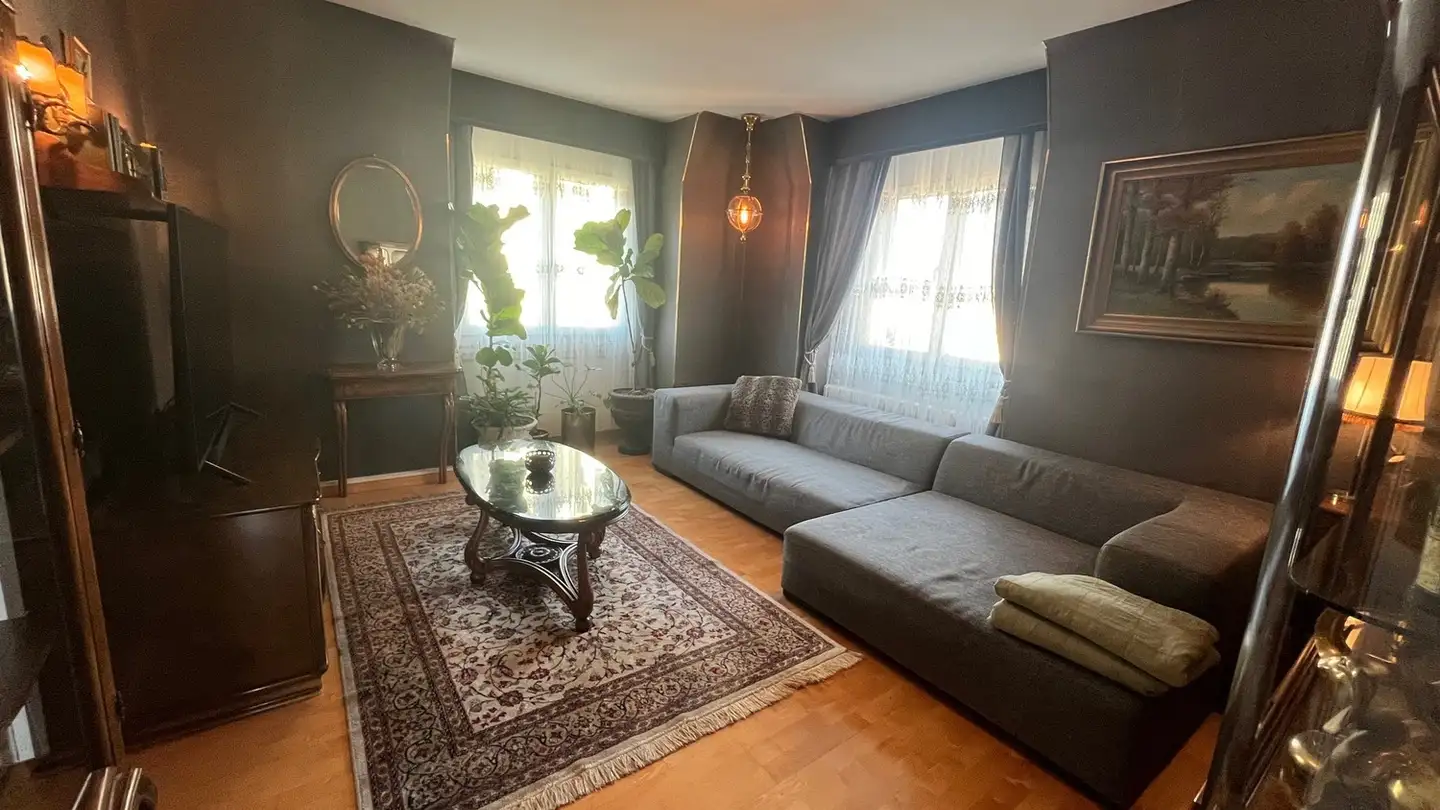 Appartamento in affitto - Talwiesenstrasse 160, 8055 Zürich