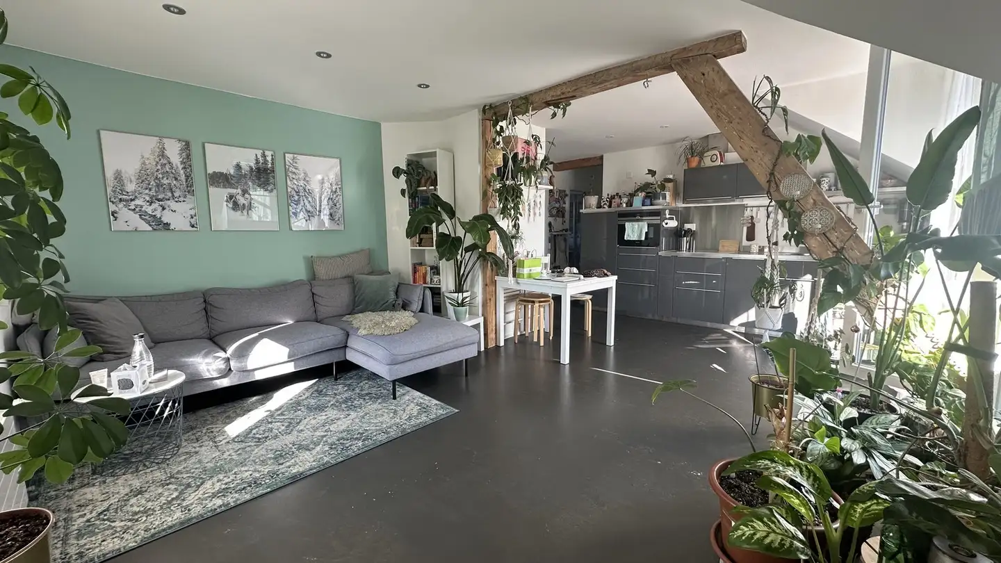 Appartamento in affitto - 4600 Olten