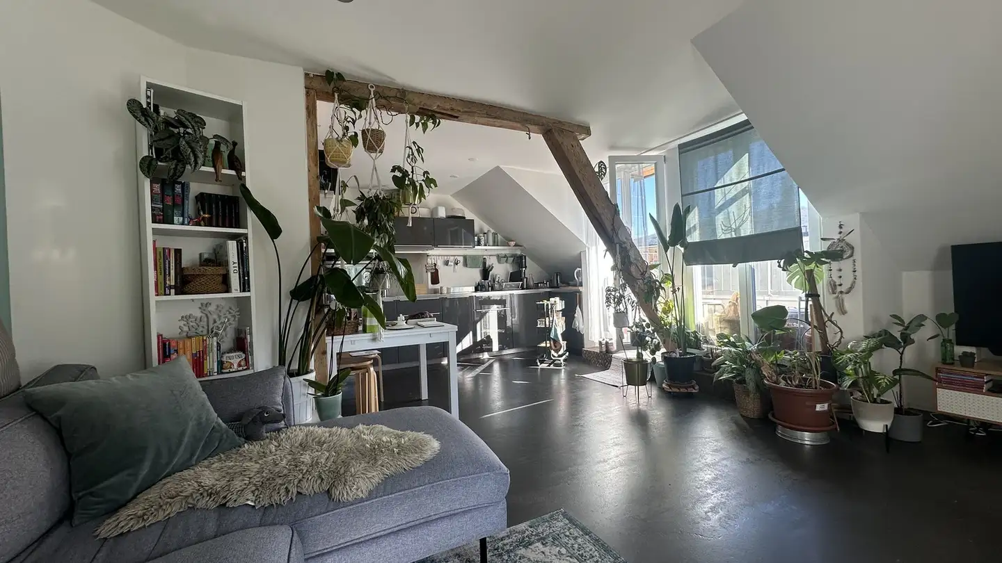 Appartamento in affitto - 4600 Olten - Foto 3