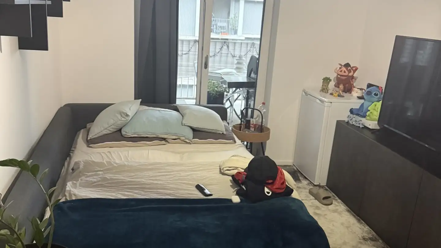 Stanza singola in affitto - 8952 Schlieren