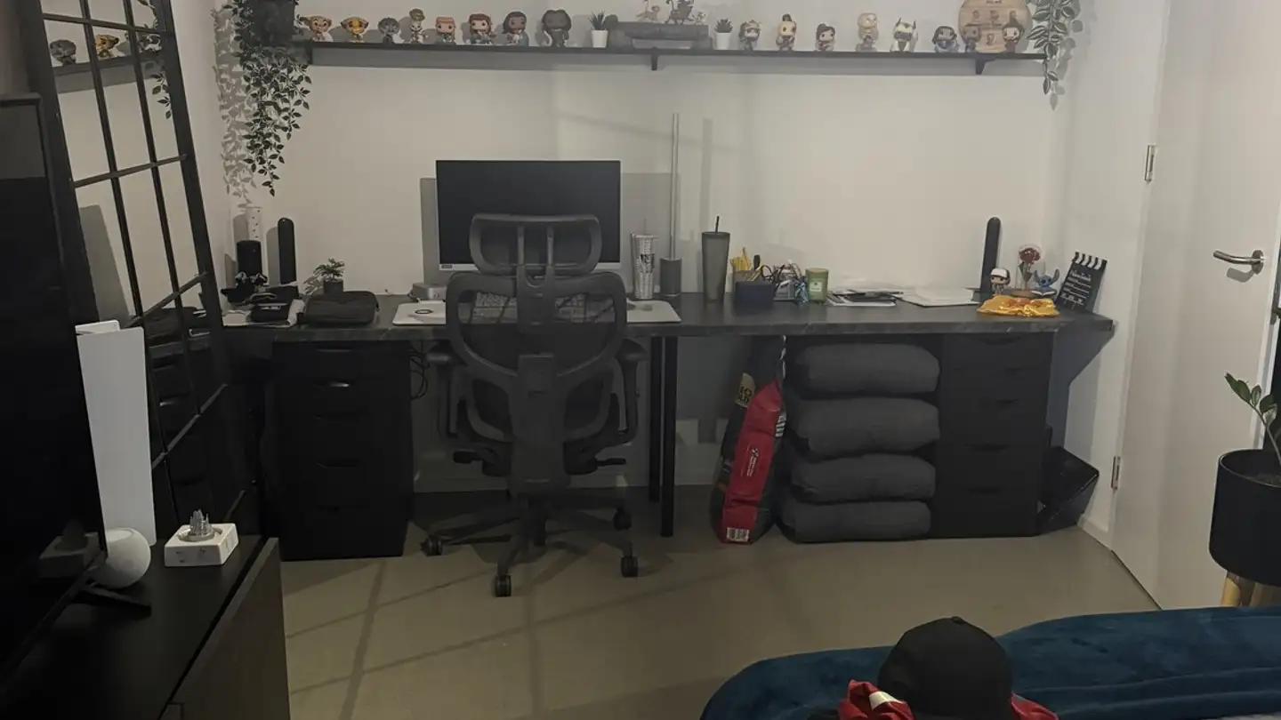 Stanza singola in affitto - 8952 Schlieren - Foto 2