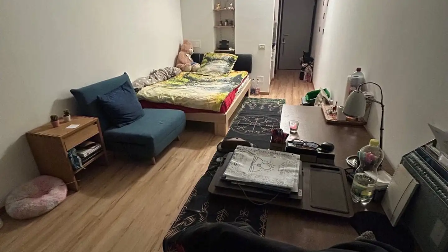 Appartamento in affitto - Via Franco Zorzi 39a, 6900 Paradiso - Photo 2