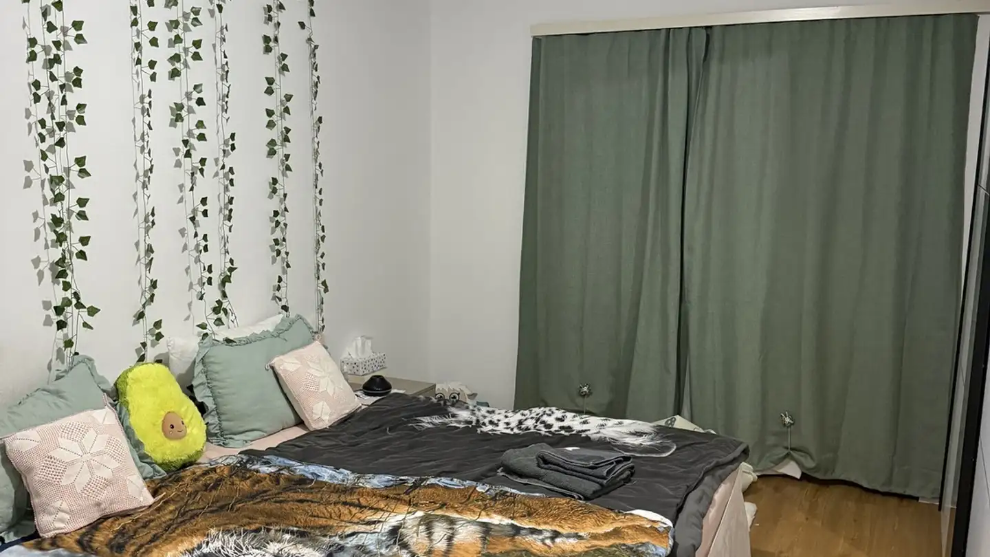 Appartamento in affitto - Burgstrasse 50, 8610 Uster