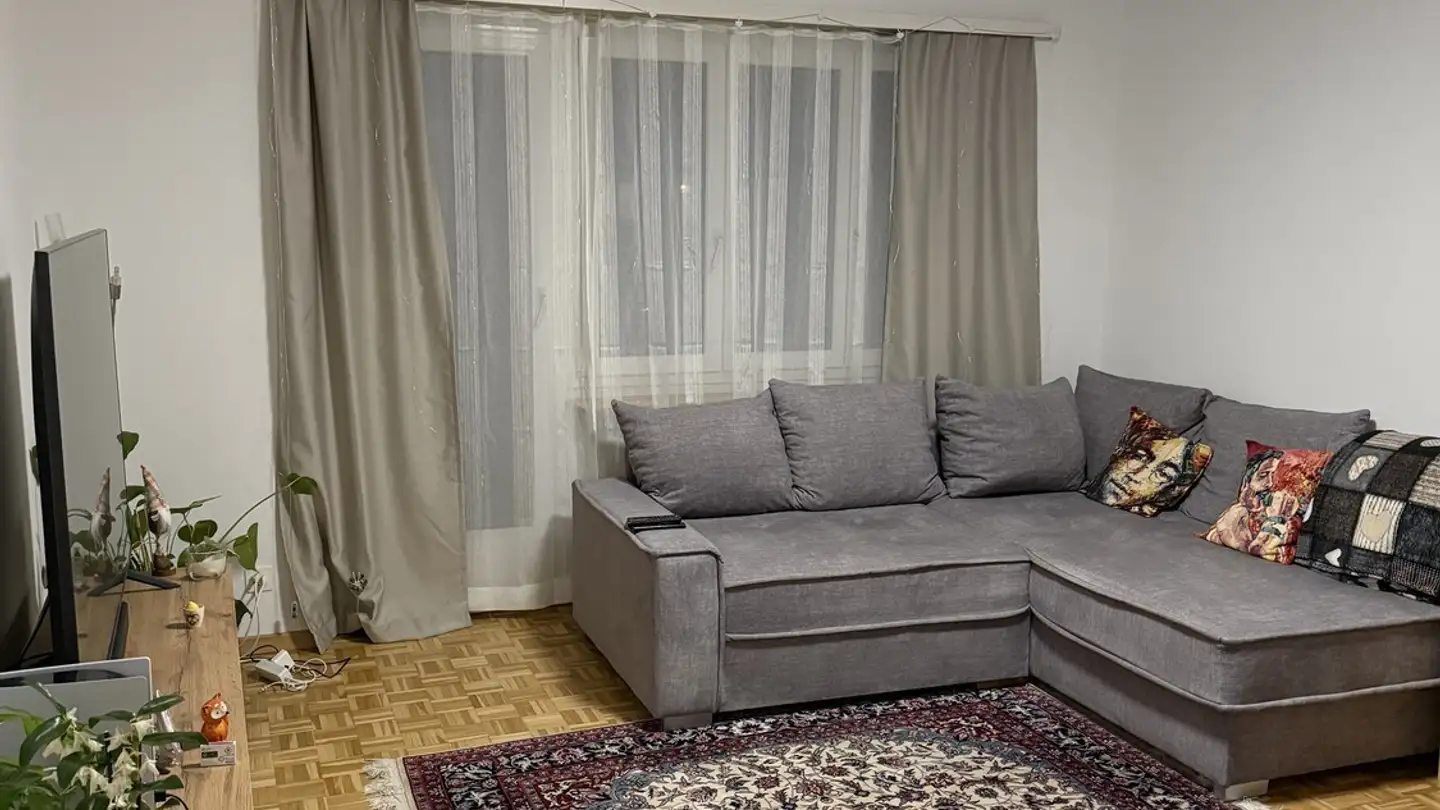 Appartamento in affitto - Burgstrasse 50, 8610 Uster - Photo 3