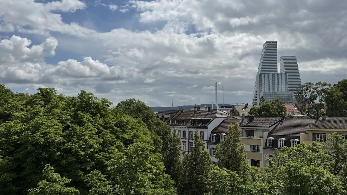 Appartement à louer - Riehentorstrasse 33, 4058 Basel - Photo 4