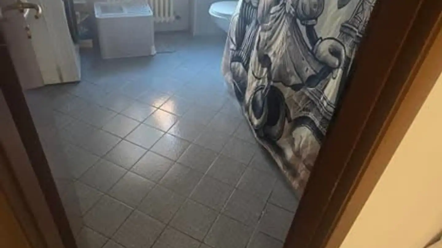 Wohnung mieten - Via Mirasole, 6500 Bellinzona - Foto 2