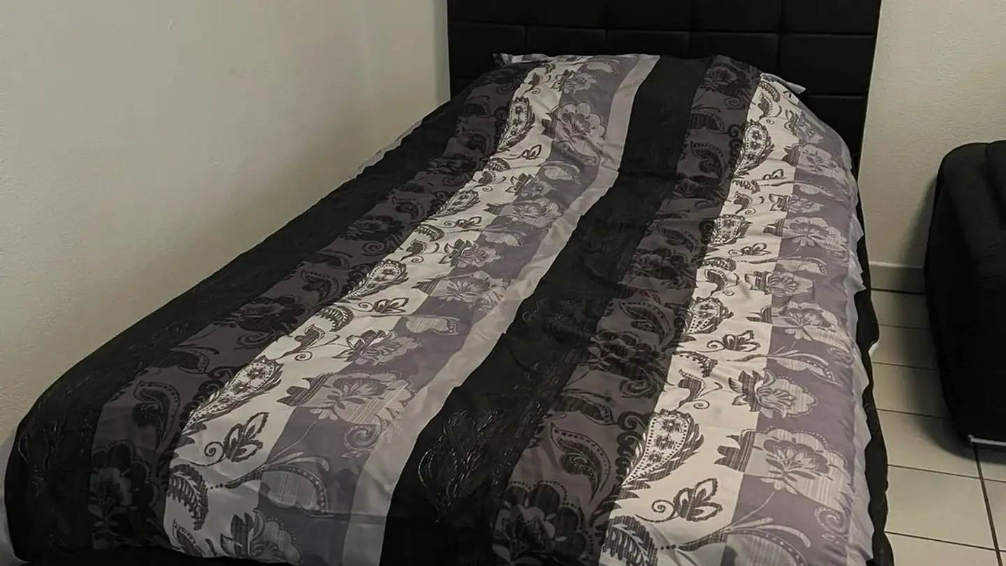 Appartamento in affitto - Viale Stazione 25, 6500 Bellinzona - Photo 4