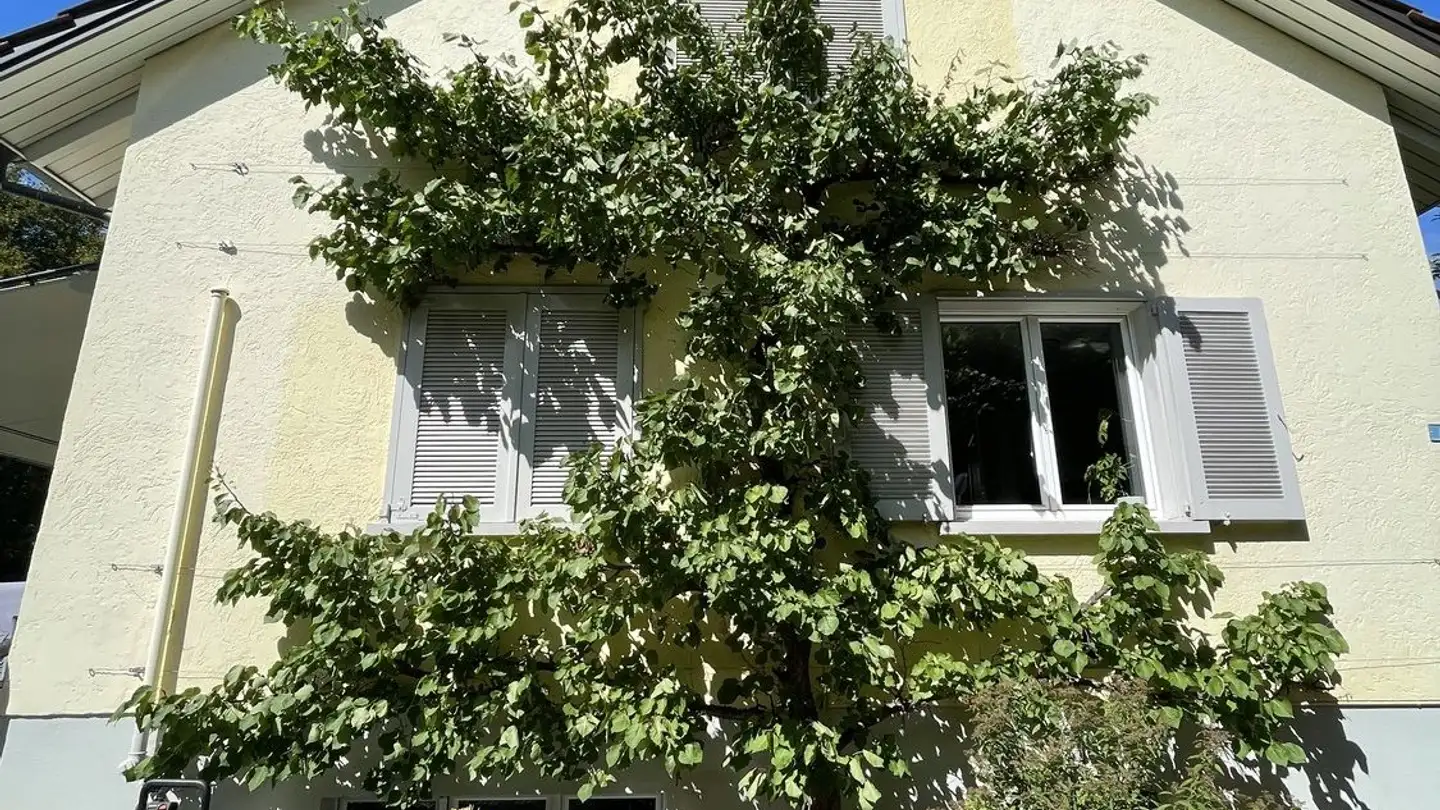 Einfamilienhaus mieten - Taleggstrasse 6, 8953 Dietikon - Foto 3