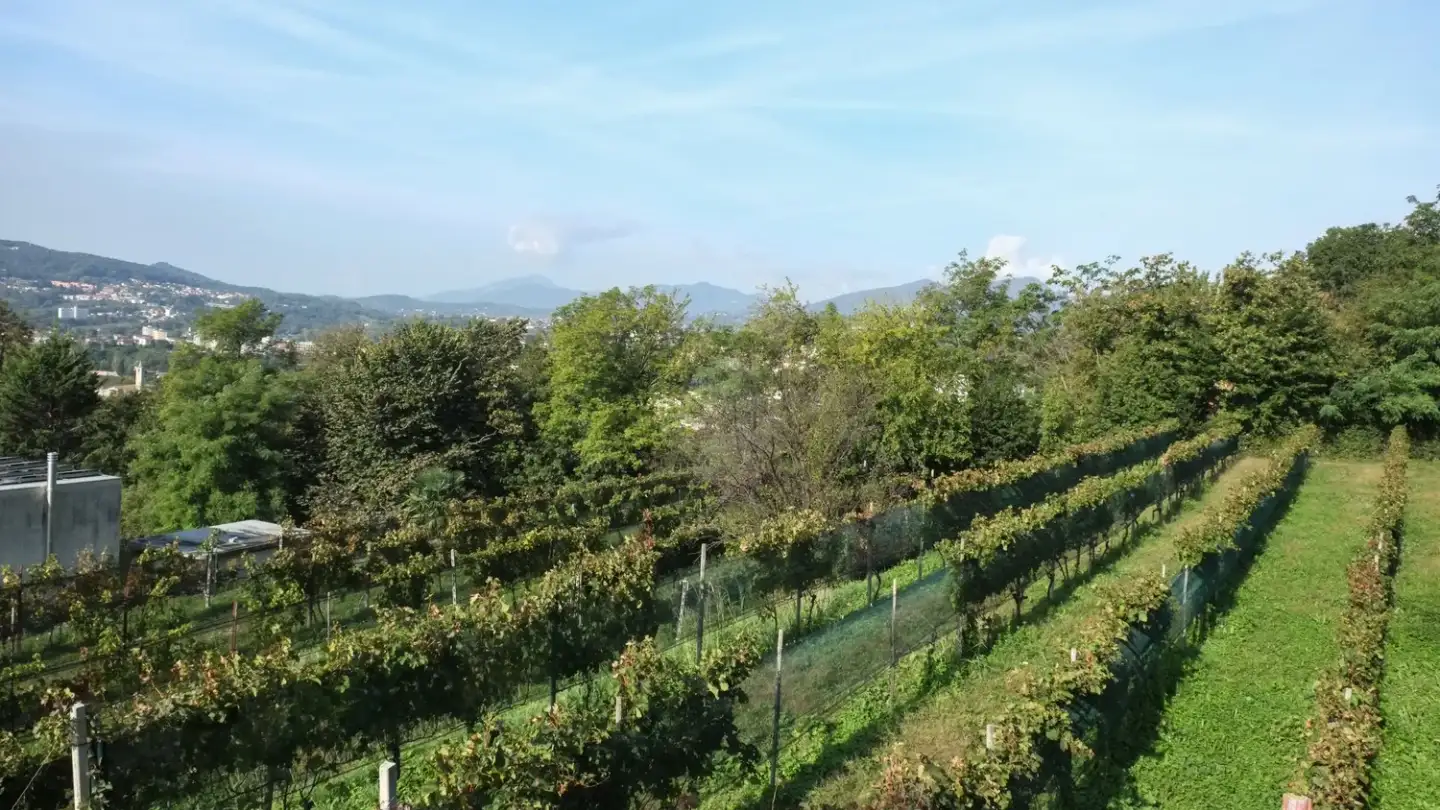 Terreno edificabile in vendita - Via Rossolino, 6833 Vacallo - Photo 2