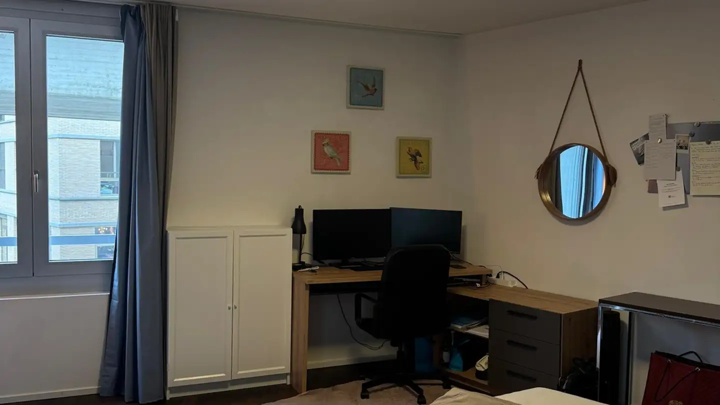 Furnished apartment for rent - Seidenweg 10, 8600 Dübendorf - Photo 3