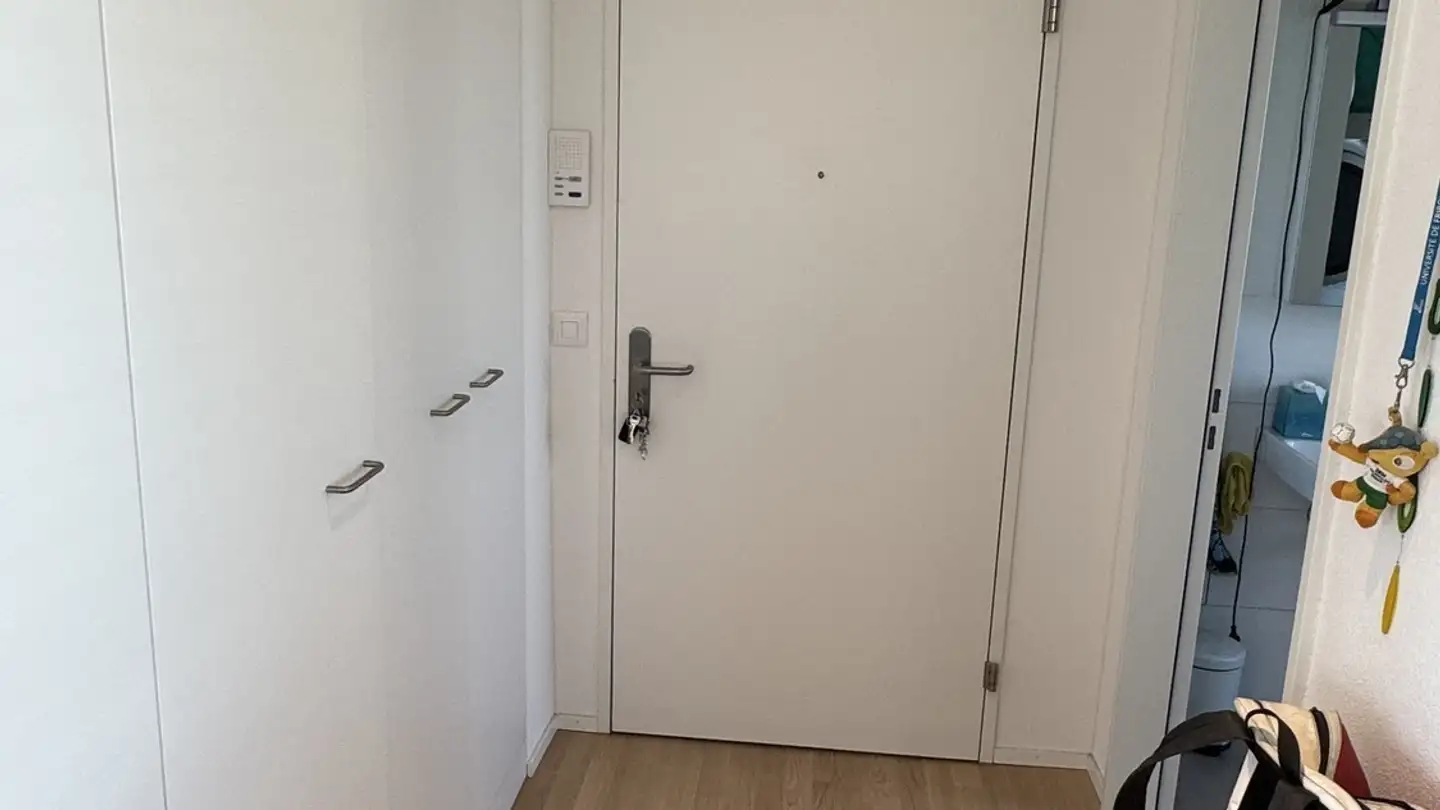 Appartamento in affitto - Mythenweg 1, 8604 Volketswil