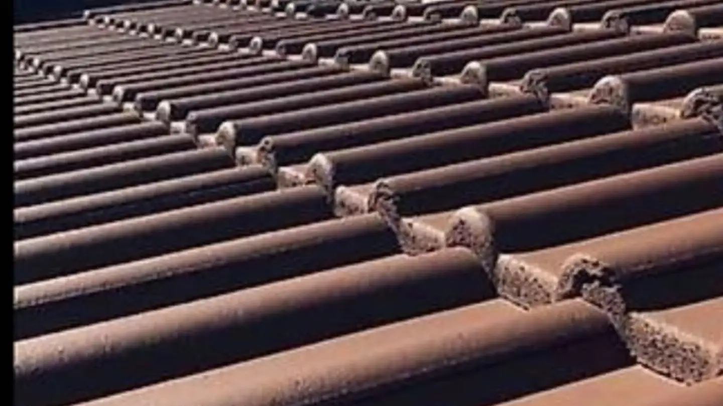 Maison individuelle à vendre - 1932 Bovernier - Photo 2