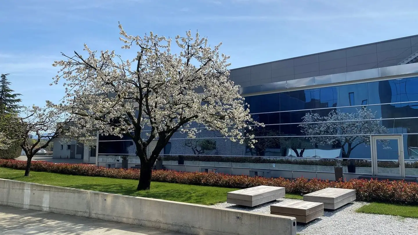 Grande magazzino in affitto - Via Gaggiolo 27, 6855 Stabio - Photo 3