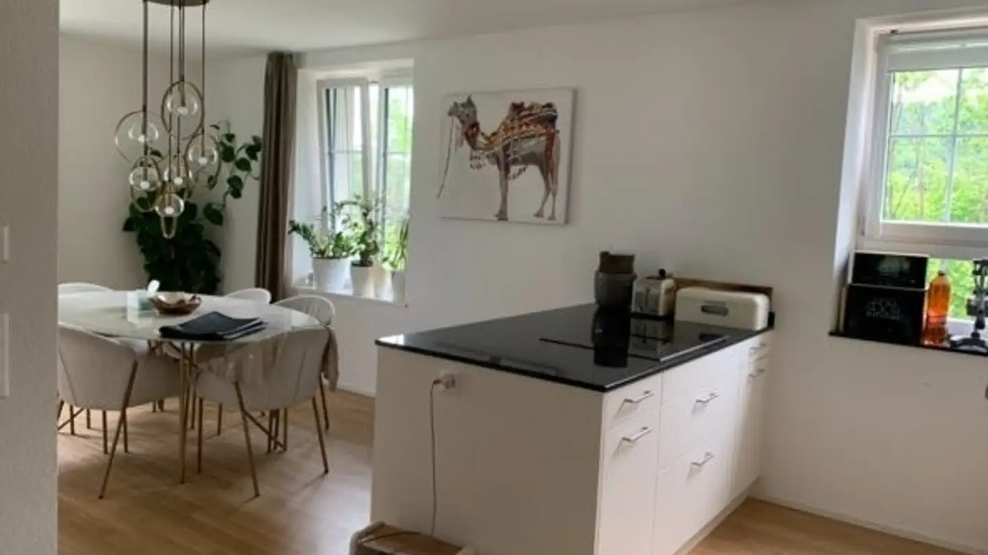 Appartement à louer - 8134 Adliswil - Photo 3