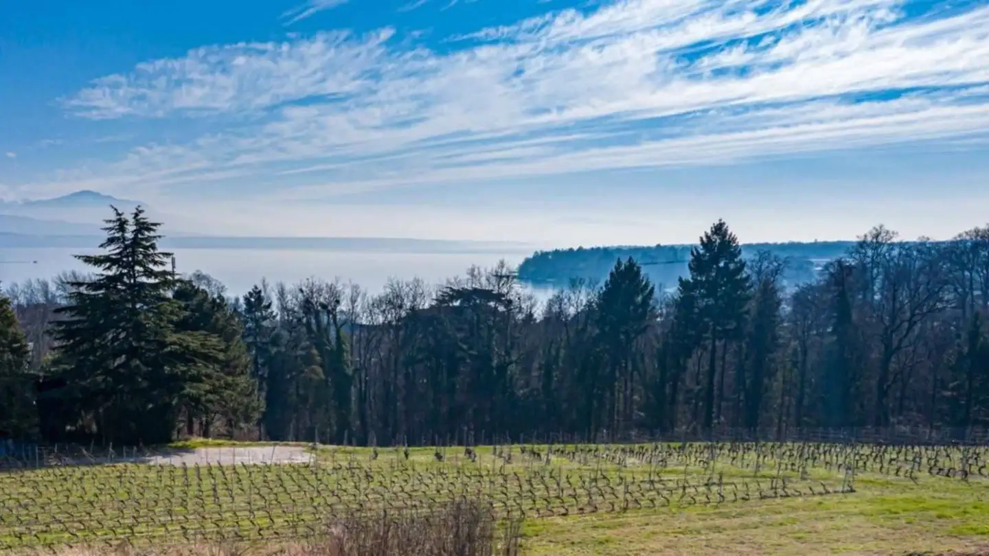 Villa for sale - 1195 Dully