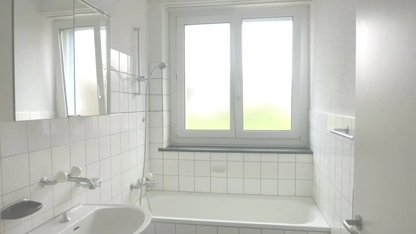 Appartamento in affitto - Albisstrasse 11, 8800 Thalwil