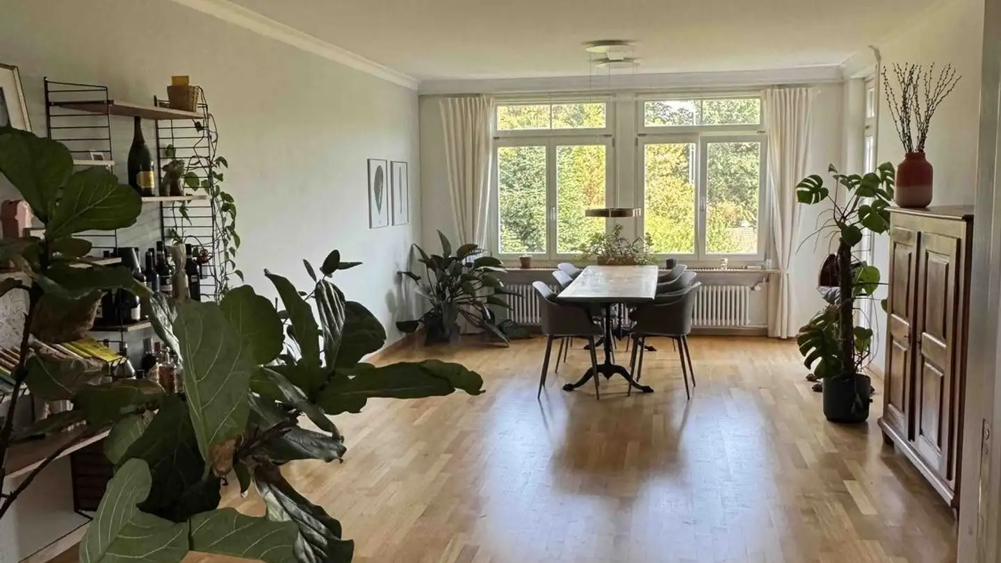 Stanza singola in affitto - 3005 Bern