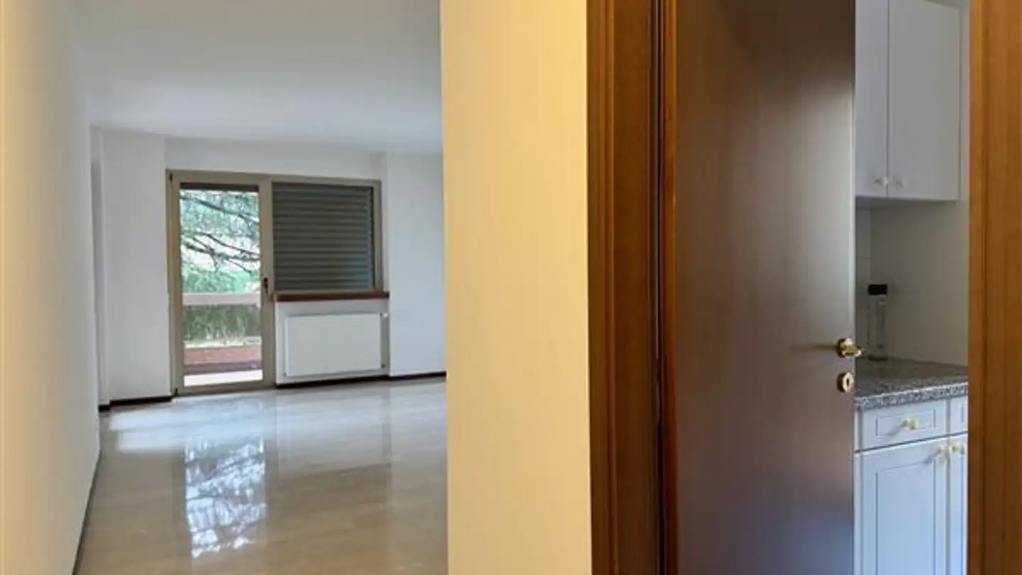 Apartment for rent - 6815 Melide - Photo 3