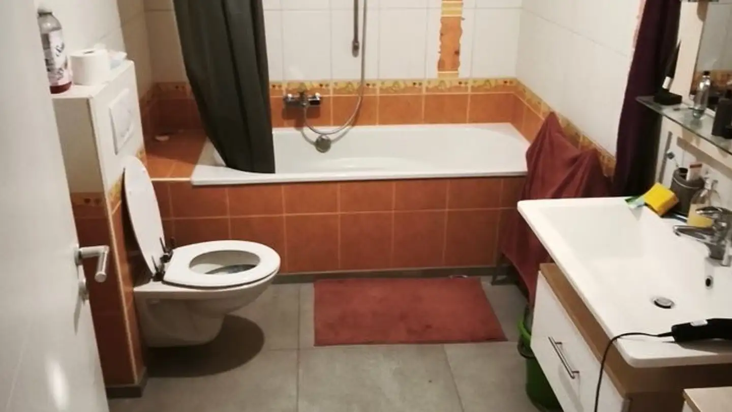 Appartamento in affitto - Route De Fribourg 111, 1634 La Roche FR - Foto 4