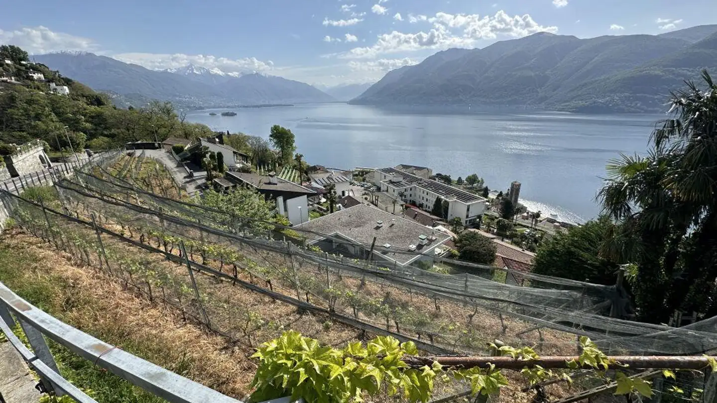 Constructible plot for sale - Via San Giorgio, 6614 Brissago