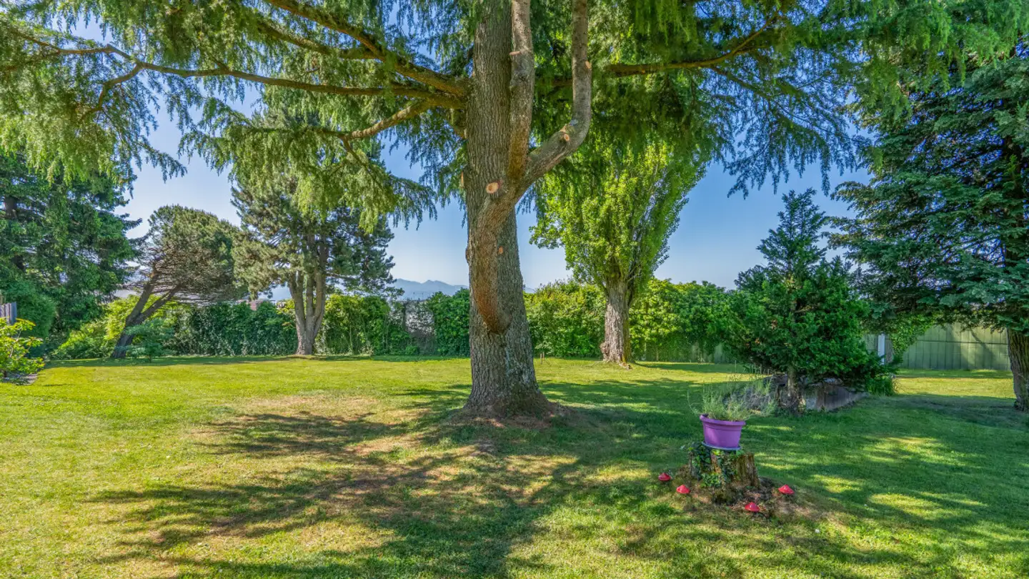 Constructible plot for sale - Route De Lausanne, 1052 Le Mont-sur-Lausanne