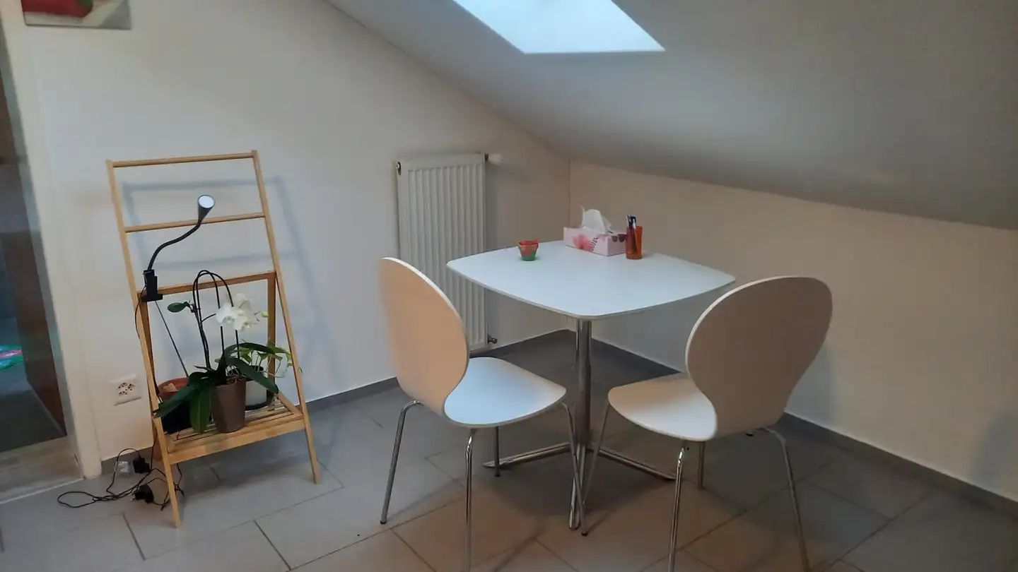 Appartamento in affitto - Dorfstrasse 20, 8585 Mattwil