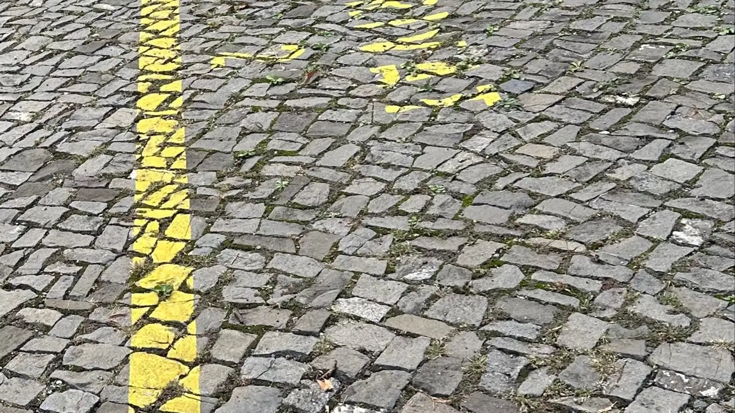 Parkplatz im Freien mieten - Spirgartenstrasse 31, 8048 Zürich